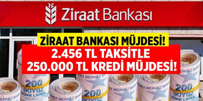 Başvuru rekoru kıracak kampanya! Ziraat Bankası 2.456 TL taksitle 250.000 TL kredi müjdesi verdi