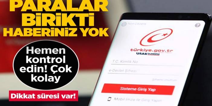Dikkat süresi var! e-Devlet'i olan hemen baksın paralar birikti haberiniz yok