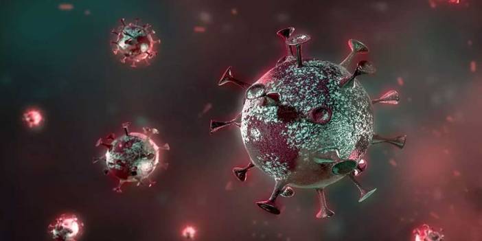 Koronavirüs sonrası yeni salgın patladı! Avrupa diken üstünde SİNSİ hastalık Türkiye sınırına dayandı