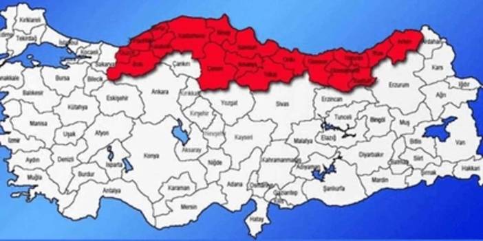 SESSİZ İSTİLA başladı! Türkiye'ye girdi Karadeniz'i ele geçirdi aman dikkat çok zararlı