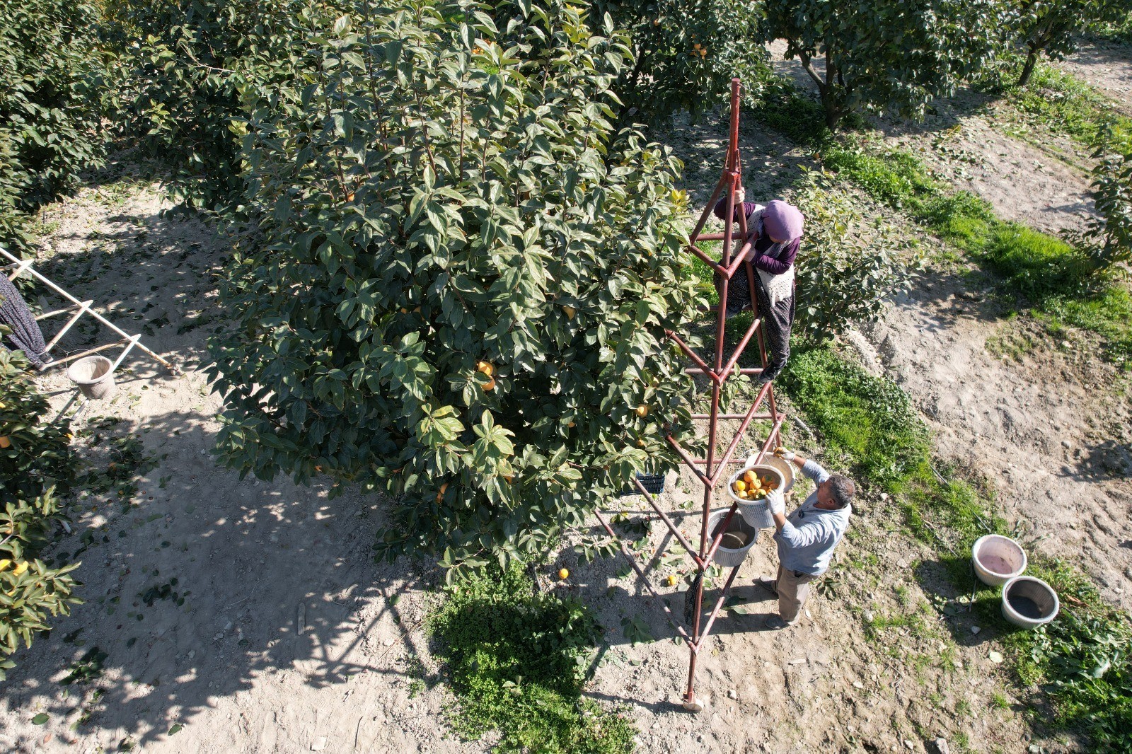 cennet-2.jpg