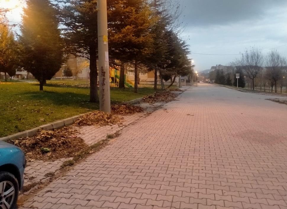 yaprak-2.jpg
