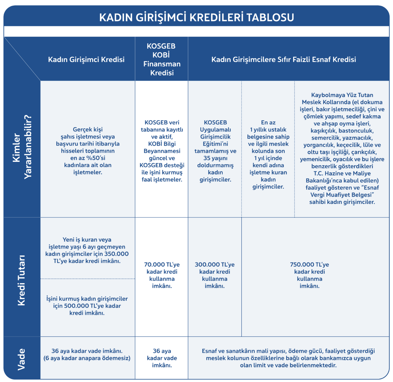 kadin-girisimci-kredi-tablo-rev-13-min.png