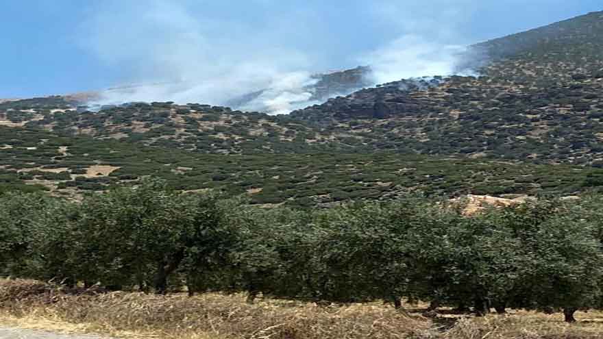 sahilli-2.jpg