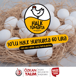 ekran-goruntusu-2024-07-08-152444-min.png