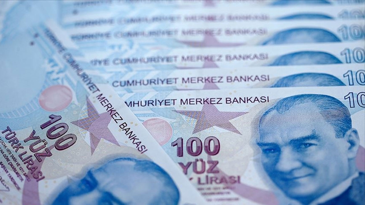 turk-lirasi-para-8.jpg