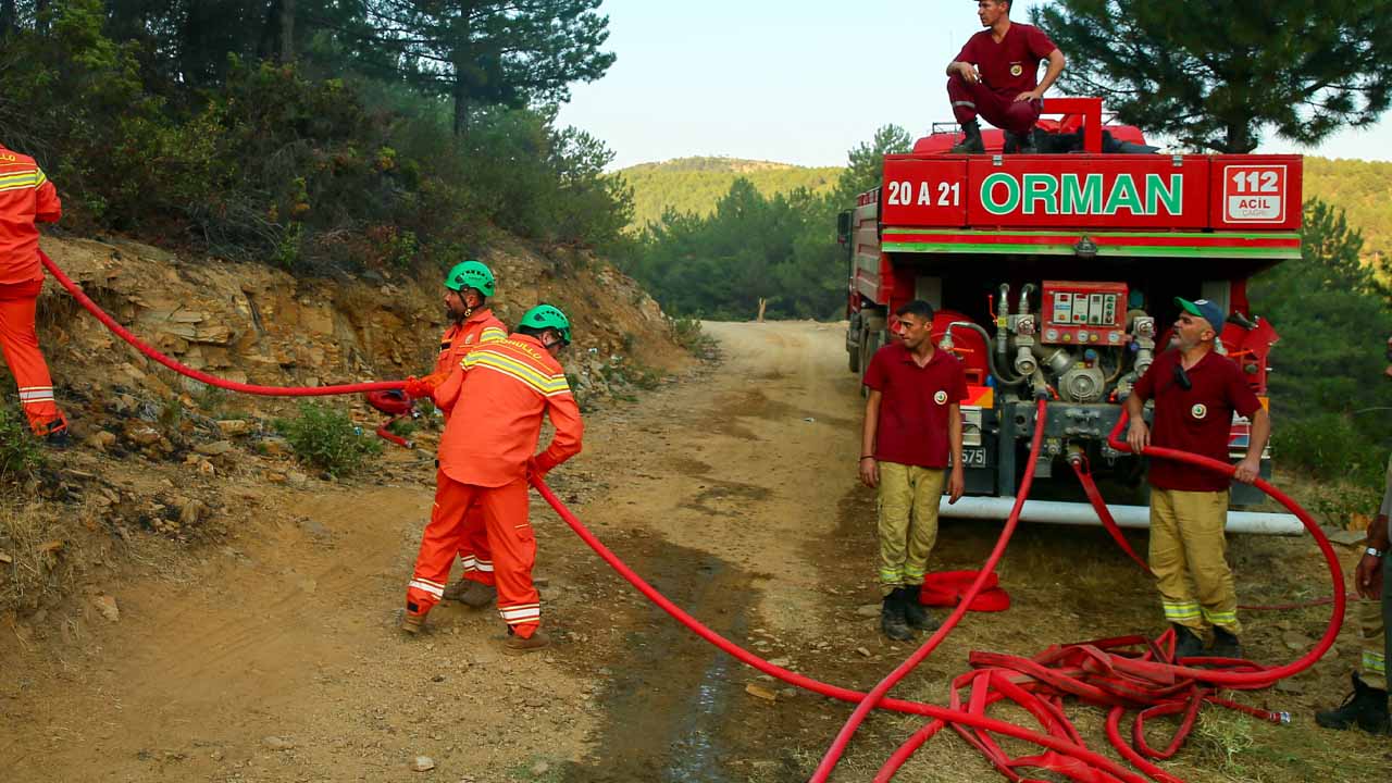 tur.jpg