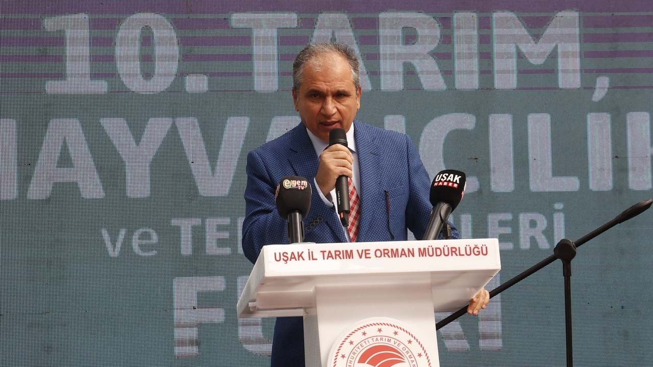 ismail-gunes.jpeg