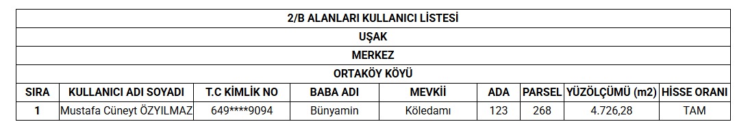 ortakoy.jpeg